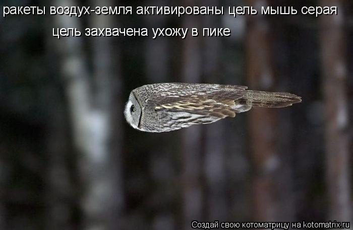 ракеты воздух-земля активированы цель мышь серая цель захвачена ухожу в пике цель захвачена ухожу в п... Котоматрица: ракеты воздух-земля активированы цель мышь серая цель захвачена ухожу в пике цель захвачена ухожу в пике