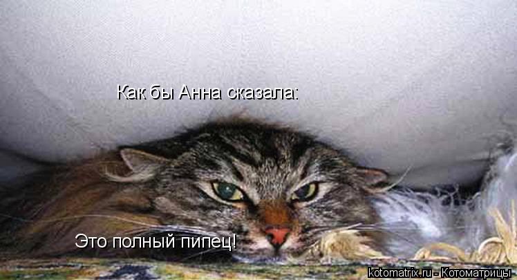 Котоматрица: Как бы Анна сказала: Это полный пипец!