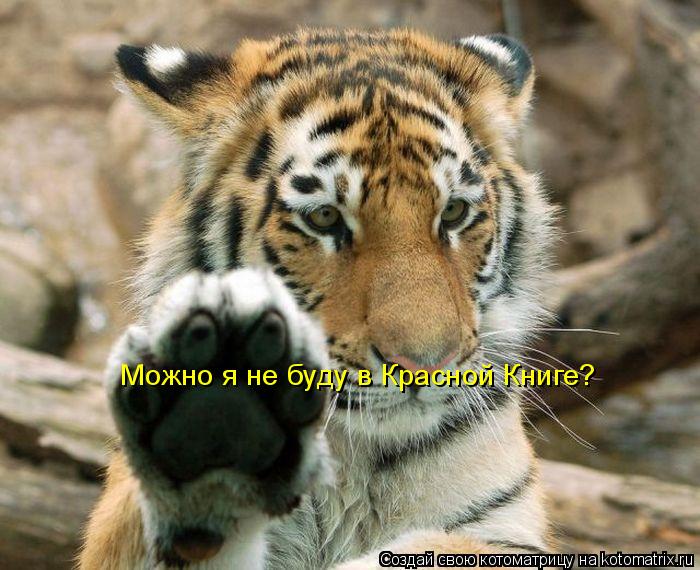 Котоматрица: Можно я не буду в Красной Книге?
