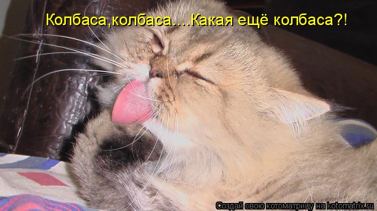 Котоматрица: Колбаса,колбаса....Какая ещё колбаса?!