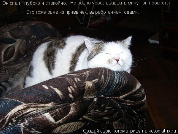 Котоматрица: Это тоже одна из привычек, выработанная годами. Он спал г лубоко и спокойно.  Но ровно через двадцать минут он проснется.