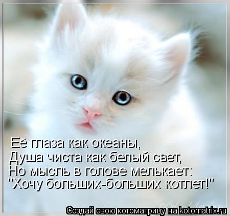 Котоматрица: Её глаза как океаны, Душа чиста как белый свет, Но мысль в голове мелькает: "Хочу больших-больших котлет!"