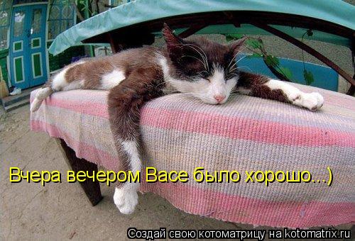 Котоматрица: Вчера вечером Васе было хорошо...)