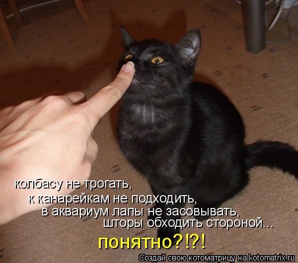 колбасу не трогать, к канарейкам не подходить, в аквариум лапы не засовывать, шторы обходить стороной... Котоматрица: колбасу не трогать, к канарейкам не подходить, в аквариум лапы не засовывать, шторы обходить стороной... понятно?!?!