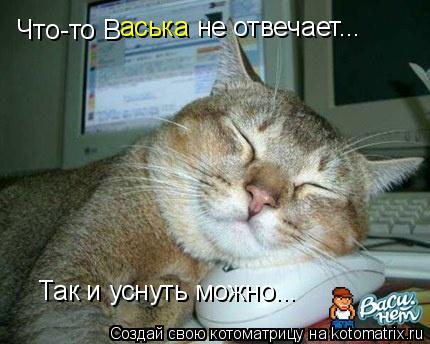 Что-то В Что-то В аська не отвечает... Так и уснуть можно...... Котоматрица: Что-то В Что-то В аська не отвечает... Так и уснуть можно...