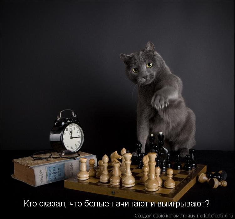 Кто сказал, что белые начинают и выигрывают?... Котоматрица: Кто сказал, что белые начинают и выигрывают?