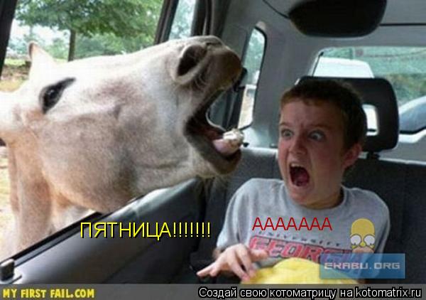 ПЯТНИЦА!!!!!!! ААААААА... Котоматрица: ПЯТНИЦА!!!!!!! ААААААА