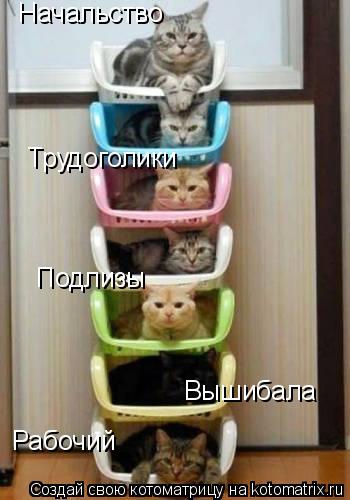 Рабочий Вышибала Подлизы Трудоголики Начальство... Котоматрица: Рабочий Вышибала Подлизы Трудоголики Начальство