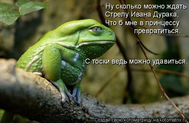 Котоматрица: Ну сколько можно ждать Стрелу Ивана Дурака, Что б мне в принцессу  превратиться. С тоски ведь можно удавиться.