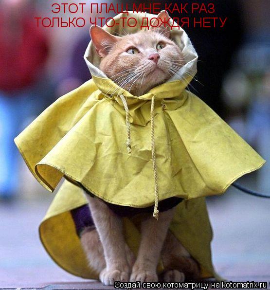 Котоматрица: ЭТОТ ПЛАЩ МНЕ КАК РАЗ ТОЛЬКО ЧТО-ТО ДОЖДЯ НЕТУ ТОЛЬКО ЧТО-ТО ДОЖДЯ НЕТУ
