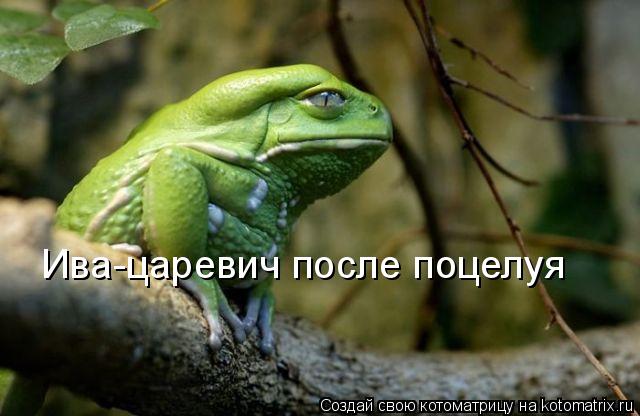 Котоматрица: Ива-царевич после поцелуя