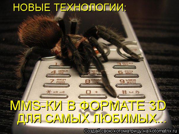 Котоматрица: НОВЫЕ ТЕХНОЛОГИИ: ДЛЯ САМЫХ ЛЮБИМЫХ... MMS-КИ В ФОРМАТЕ 3D