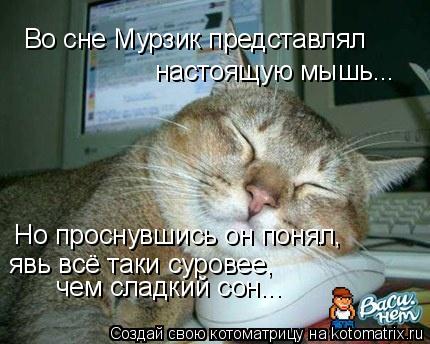 Котоматрица: Во сне Мурзик представлял настоящую мышь... Но проснувшись он понял, явь всё таки суровее,  чем сладкий сон...