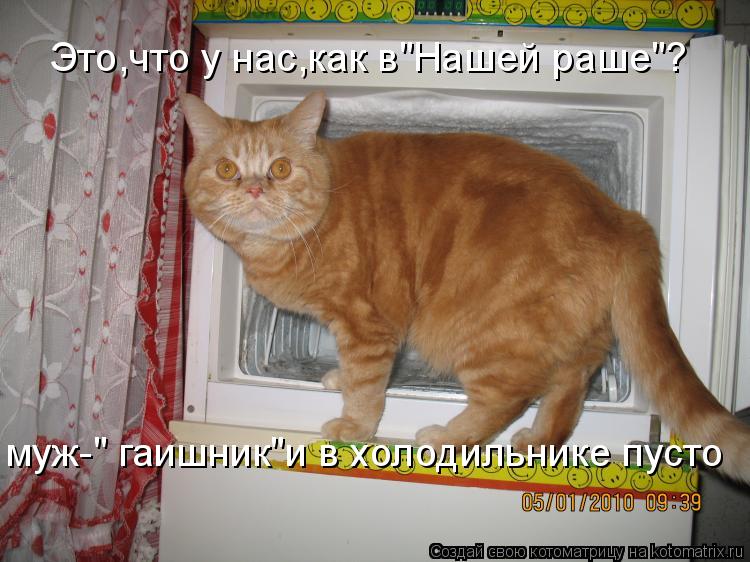 Котоматрица: Это,что у нас,как в"Нашей раше"? муж-" гаишник"и в холодильнике пусто