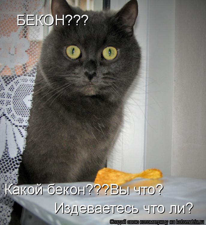 Котоматрица: БЕКОН??? Какой бекон???Вы что? Издеваетесь что ли?