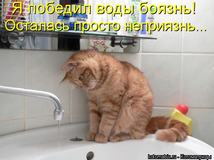 Котоматрица: Я победил воды боязнь!  Осталась просто неприязнь...