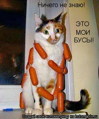 Котоматрица: Ничего не знаю! ЭТО МОИ БУСЫ!