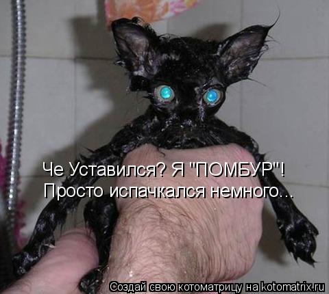 Котоматрица: Че Уставился? Я "ПОМБУР"! Просто испачкался немного...