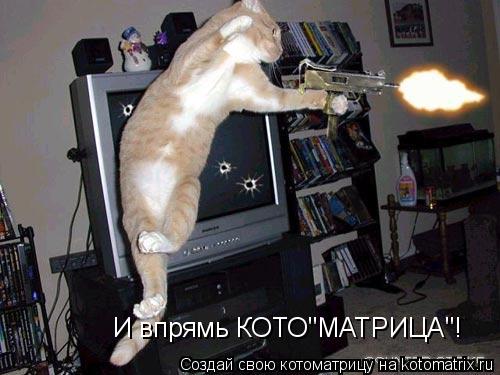 Котоматрица: И впрямь КОТО"МАТРИЦА"!