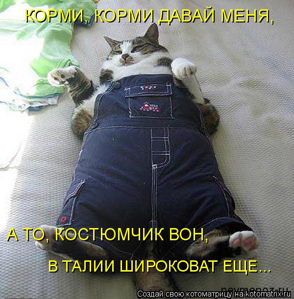 Котоматрица: В ТАЛИИ ШИРОКОВАТ ЕЩЕ... КОРМИ, КОРМИ ДАВАЙ МЕНЯ, А ТО, КОСТЮМЧИК ВОН,