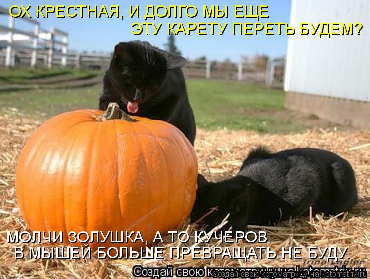Котоматрица: ОХ КРЕСТНАЯ, И ДОЛГО МЫ ЕЩЕ  ЭТУ КАРЕТУ ПЕРЕТЬ БУДЕМ? МОЛЧИ ЗОЛУШКА, А ТО КУЧЕРОВ  В МЫШЕЙ БОЛЬШЕ ПРЕВРАЩАТЬ НЕ БУДУ.