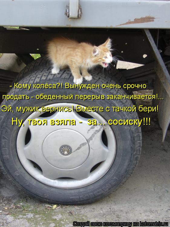Котоматрица: продать - обеденный перерыв заканчивается!... - Кому колёса?! Вынужден очень срочно  Ну, твоя взяла -  за... сосиску!!! Эй, мужик,вернись! Вместе с 