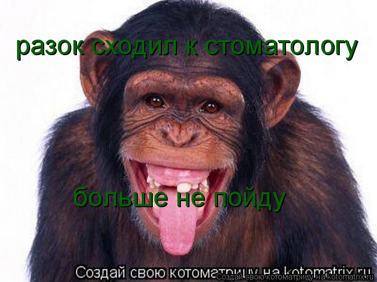 Котоматрица: разок сходил к стоматологу больше не пойду