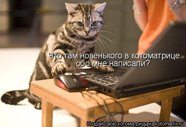 Котоматрица: Что там новенького в котоматрице обо мне написали?