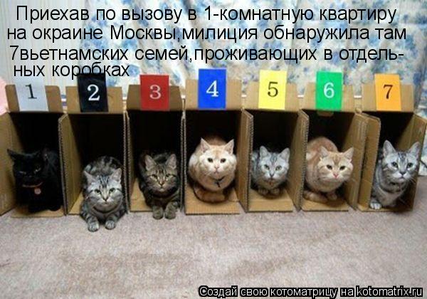 Котоматрица: Приехав по вызову в 1-комнатную квартиру на окраине Москвы,милиция обнаружила там 7вьетнамских семей,проживающих в отдель- ных коробках