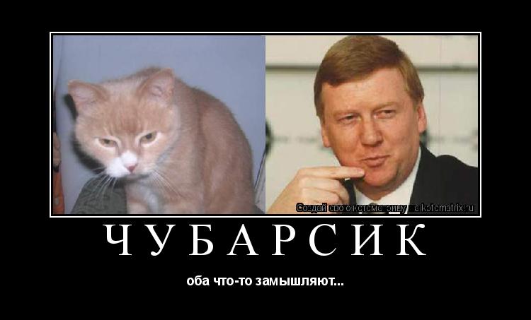 Котоматрица: Чубарсик оба что-то замышляют...