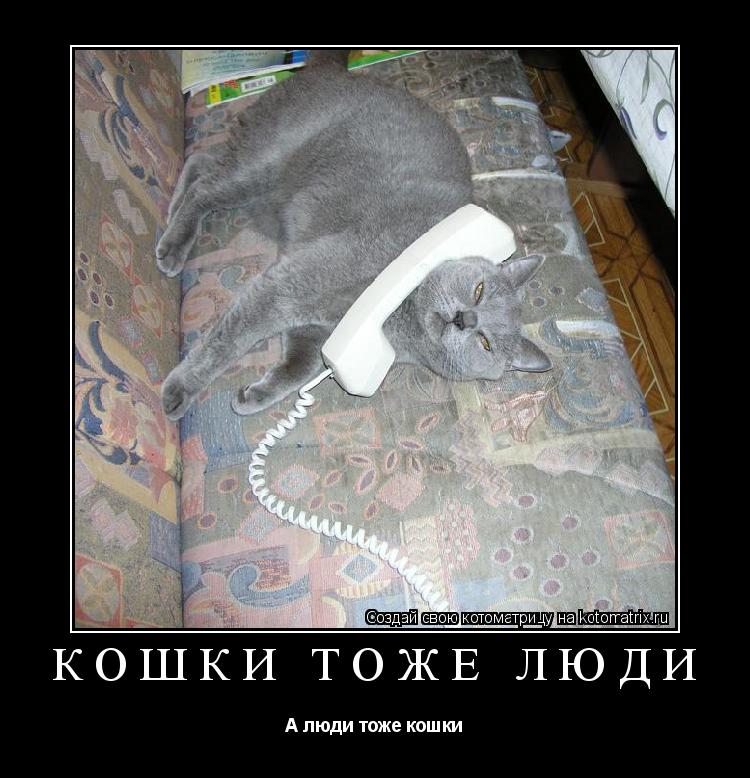КОШКИ ТОЖЕ ЛЮДИ А люди тоже кошки... Котоматрица: КОШКИ ТОЖЕ ЛЮДИ А люди тоже кошки