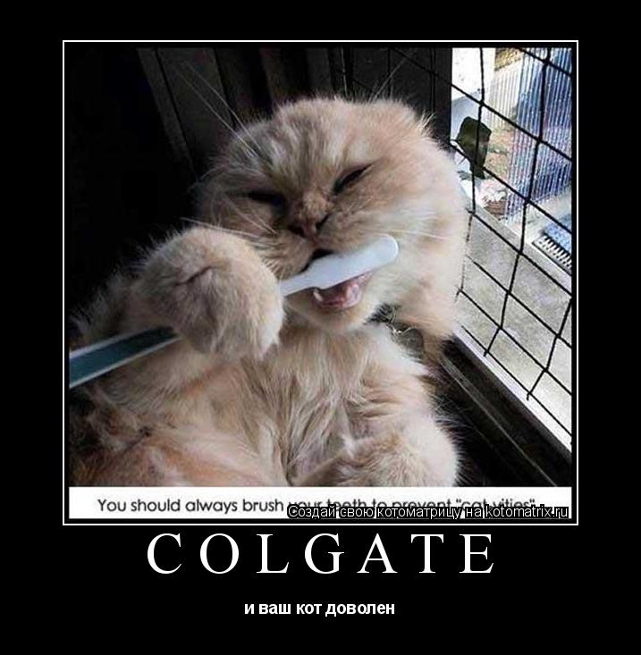 Котоматрица: COLGATE и ваш кот доволен