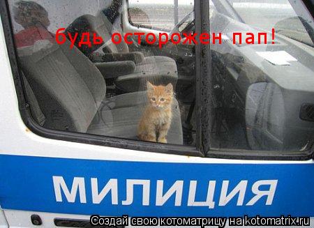 Котоматрица: будь осторожен пап!