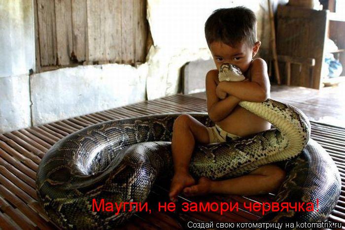 Маугли, не замори червячка!... Котоматрица: Маугли, не замори червячка!