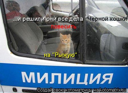 Котоматрица: ...и решили они все дела " Черной кошки " повесить на "Рыжую"