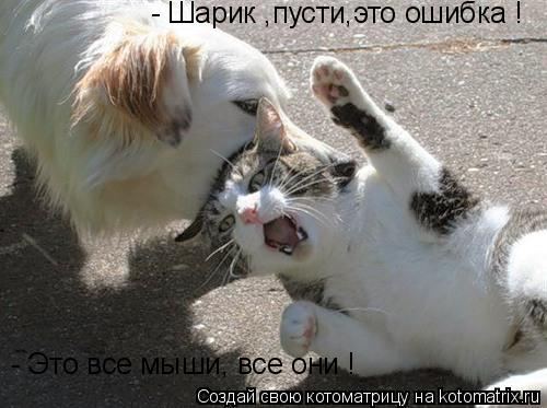 Котоматрица: - Шарик ,пусти,это ошибка ! - Это все мыши, все они !