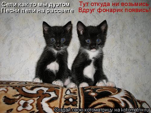 Котоматрица: Сели как то мы дуэтом  Песни пели на рассвете Тут откуда ни возьмись  Вдруг фонарик появись!