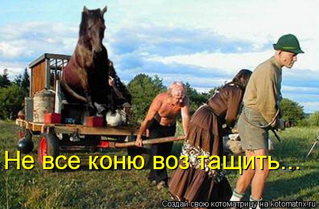 Не все коню воз тащить...... Котоматрица: Не все коню воз тащить...