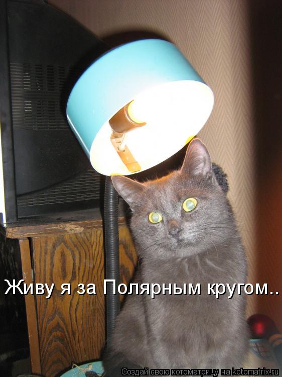 Котоматрица: Живу я за Полярным кругом..