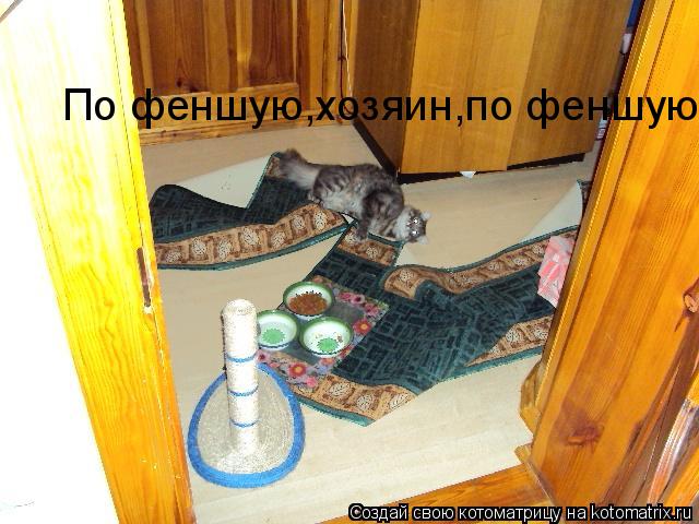 Котоматрица: По феншую,хозяин,по феншую