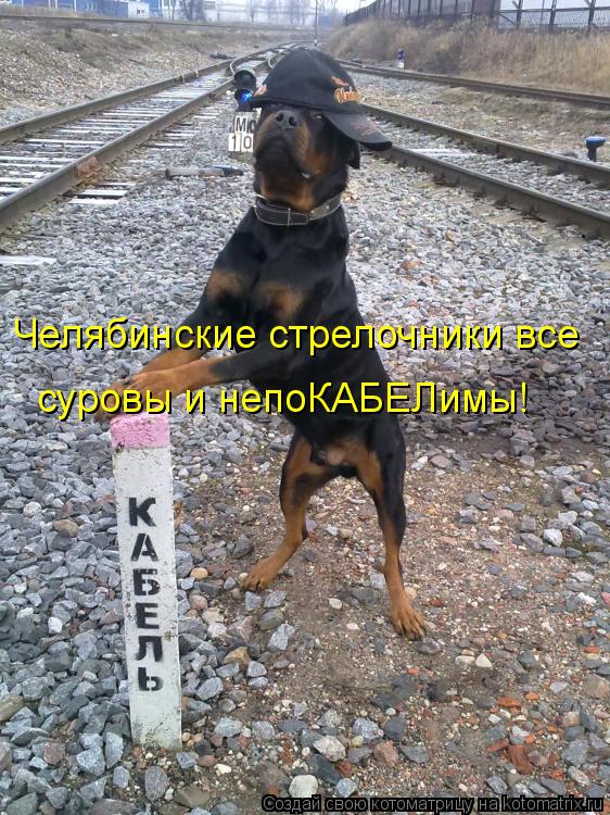 Котоматрица: Челябинские стрелочники все  суровы и непоКАБЕЛимы!