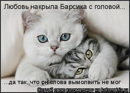 Котоматрица: Любовь накрыла Барсика с головой... ...да так, что он слова вымолвить не мог