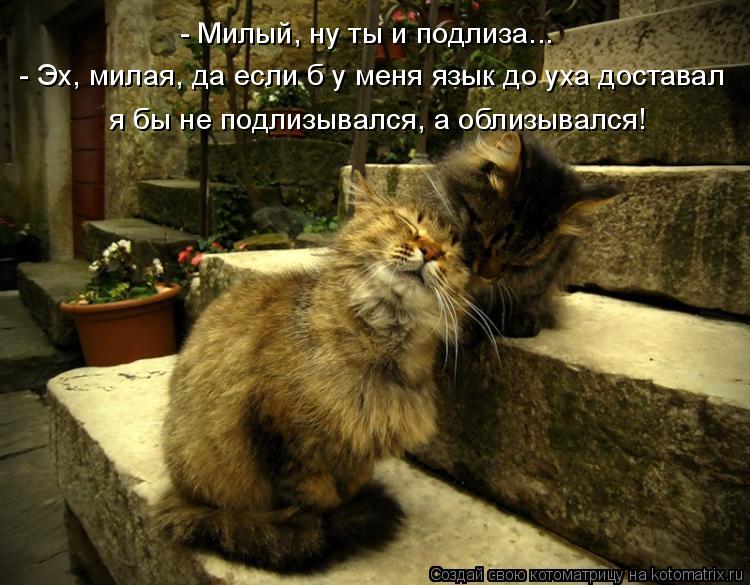 - Эх, милая, да если б у меня язык до уха доставал я бы не подлизывался, а облизывался! - Милый, ну т... Котоматрица: - Эх, милая, да если б у меня язык до уха доставал я бы не подлизывался, а облизывался! - Милый, ну ты и подлиза...