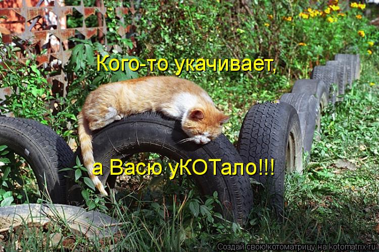 Кого-то укачивает, а Васю уКОТало!!!... Котоматрица: Кого-то укачивает, а Васю уКОТало!!!