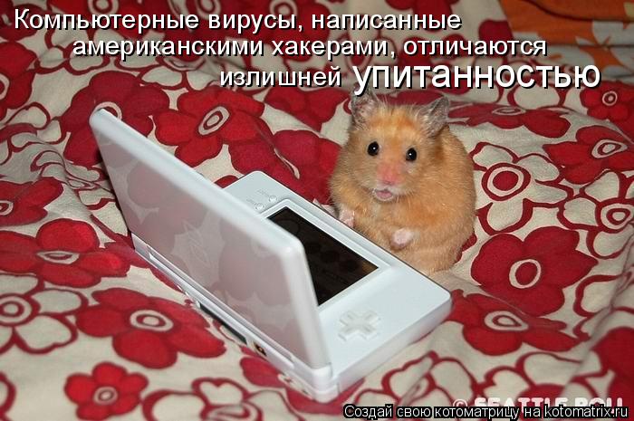 Котоматрица: Компьютерные вирусы, написанные американскими хакерами, отличаются излишней упитанностью