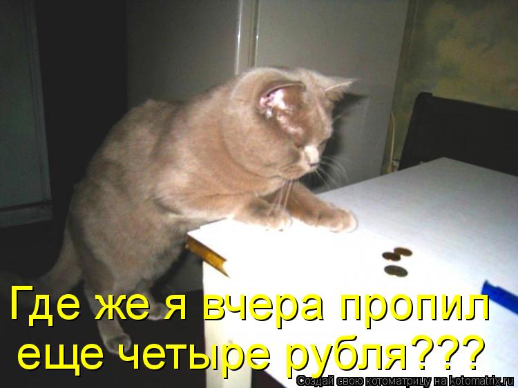 Котоматрица: Где же я вчера пропил еще четыре рубля???