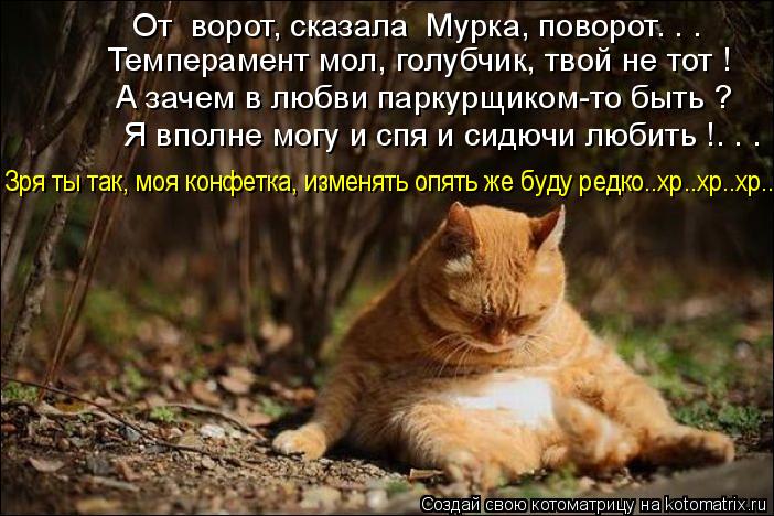 От ворот, сказала Мурка, поворот. . . Темперамент мол, голубчик, твой не тот ! А зачем в любви парк... Котоматрица: От ворот, сказала Мурка, поворот. . . Темперамент мол, голубчик, твой не тот ! А зачем в любви паркурщиком-то быть ? Я вполне могу и спя и сидючи