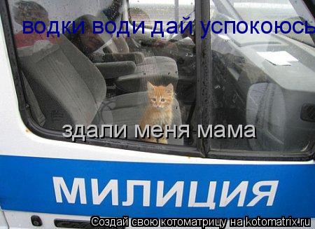 Котоматрица: водки води дай успокоюсь здали меня мама