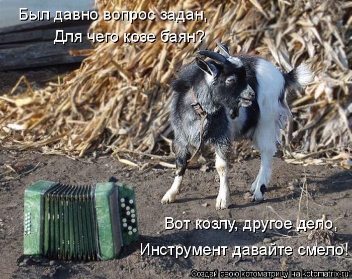 Котоматрица: Был давно вопрос задан, Для чего козе баян? Вот козлу, другое дело, Инструмент давайте смело!