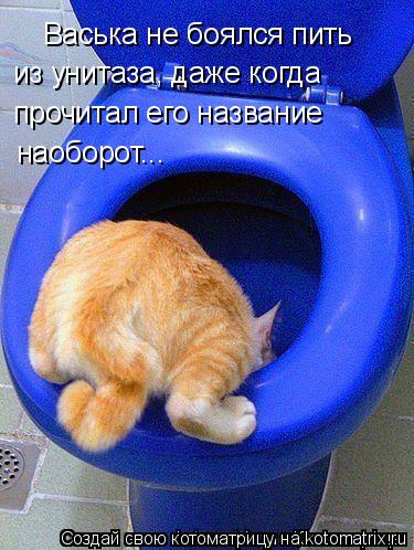 Котоматрица: Васька не боялся пить из унитаза , даже когда прочитал его название наоборот...